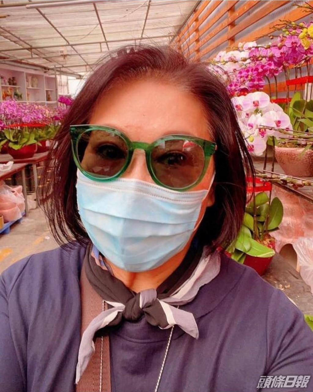 司棋姐日前率先去揀年花。